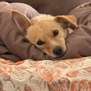 ‼️50% OFF EVERYTHING‼️